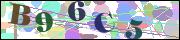 capcha