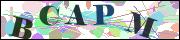capcha
