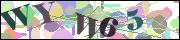 capcha