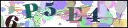 capcha