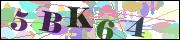 capcha