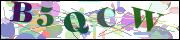 capcha