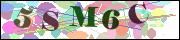 capcha