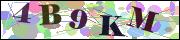 capcha