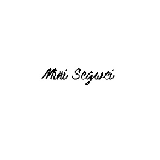 Mini Segwei