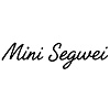 Mini Segwei